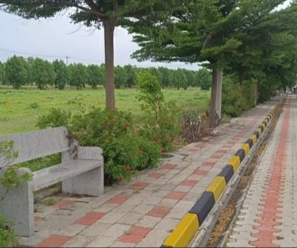 WhatsApp Image 2026-02-06 at 9.31.10 AM